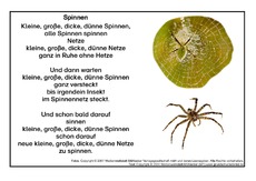 Spinnen.pdf